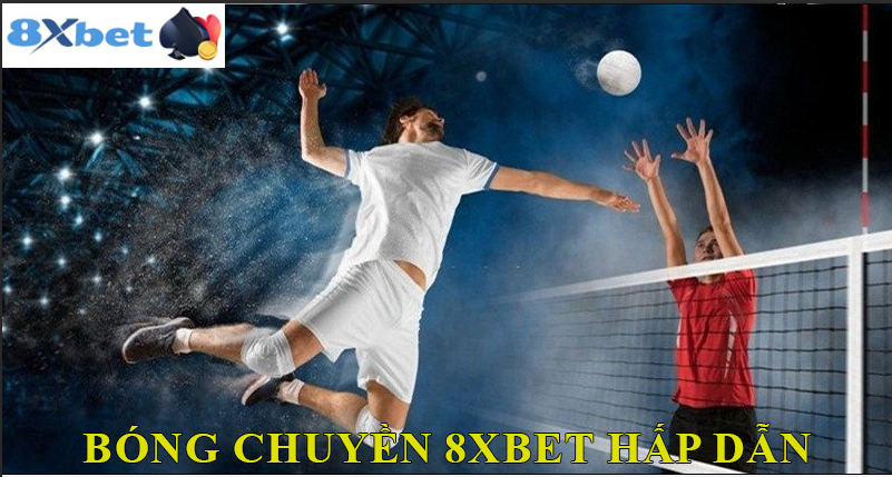 Giới thiệu về cá cược bóng chuyền trên 8XBET