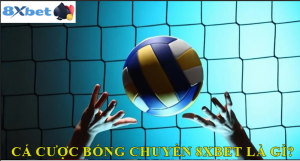 Các tính năng khác của Cá cược bóng chuyền 8XBET 