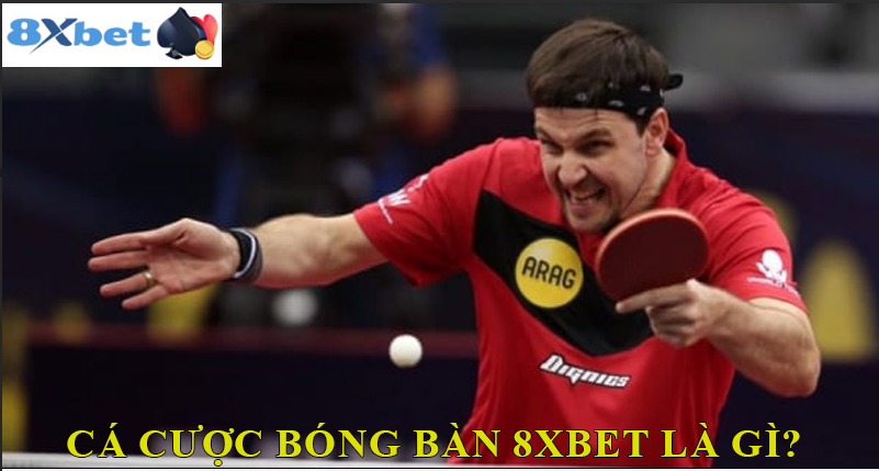 Tại sao cá cược bóng bàn 8XBET lại hấp dẫn?