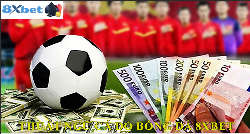 Lý do chọn 8XBET làm nền tảng cá cược bóng đá