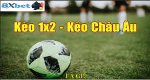 Những lưu ý khi tham gia cược kèo 1X2